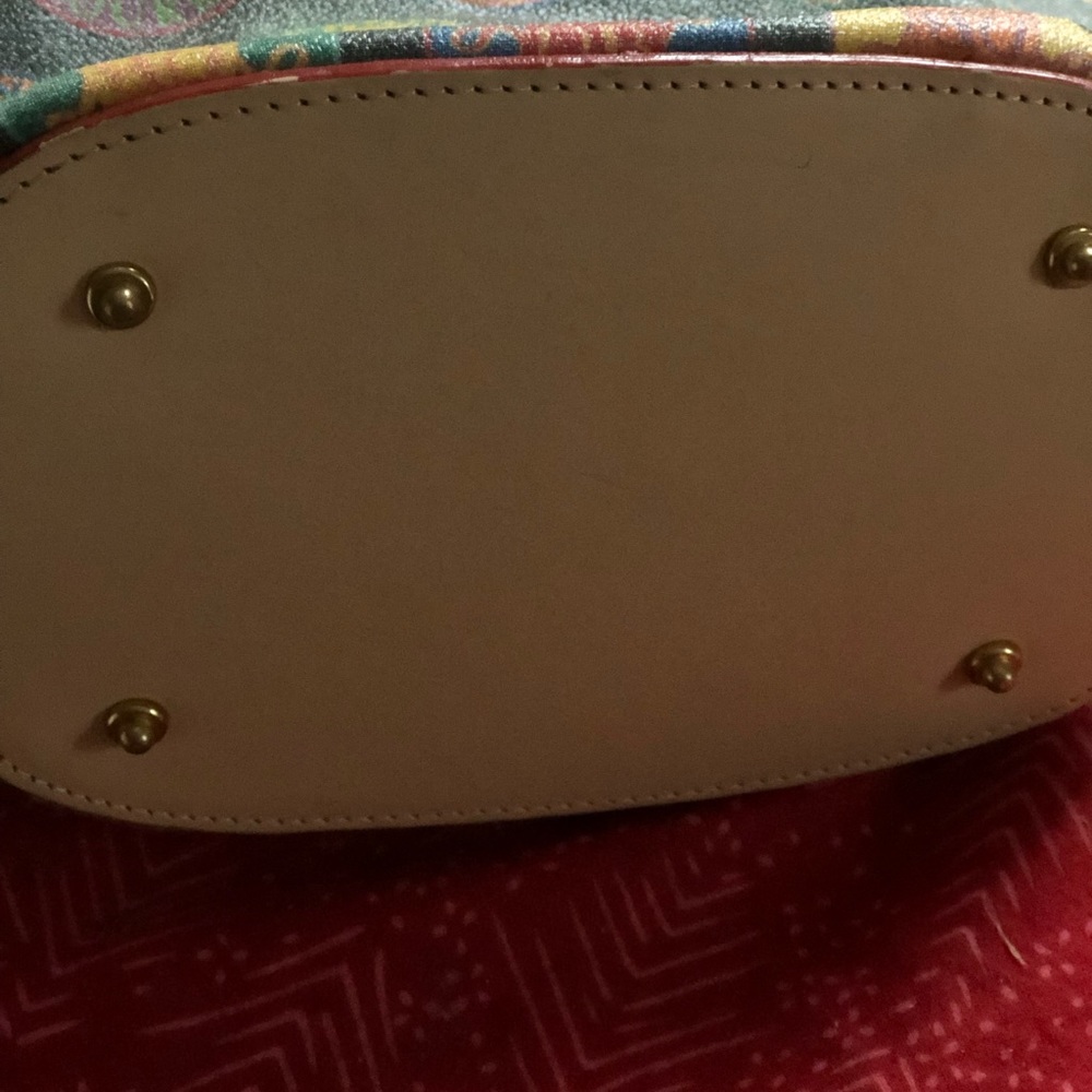 Dooney and Bourke bag ,a nice colorful bag